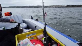Intex Excursion 5 with 4.2 hp trolling motor on sea