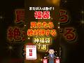 2026年福袋!買えたら絶対得する神福袋7選 #コスパ最強 #福袋