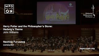 Harry Potter And The Philosophers Stone Hedwigs Theme