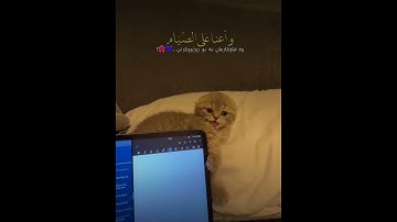 أللهم بلغنا رمضان لا فاقدين ولا مفقودين 💙 #االقارئ_عبدالرحمن_مسعد 🎧😌