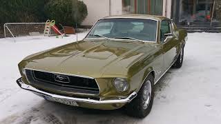 Ford Mustang Fastback 68 5.0L Winter Season