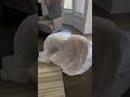 Haunted #rawgags #instantregret #GifsWithSound #Gifs #memes