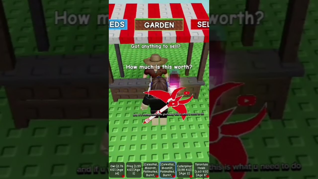 Giving Away 5t Sheckles Roblox Giveaway Growagarden Shorts