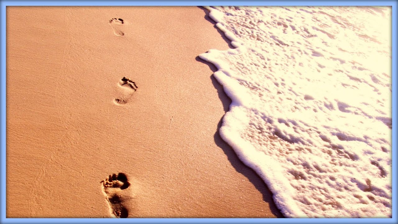 watershed ♒ Wading in the Sea