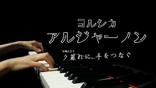 [Beautiful Advanced Piano Cover] Yorushika 'Algernon'