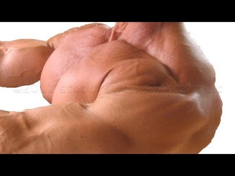 Secret To Massive Pecs - Scooby sets bench press record!