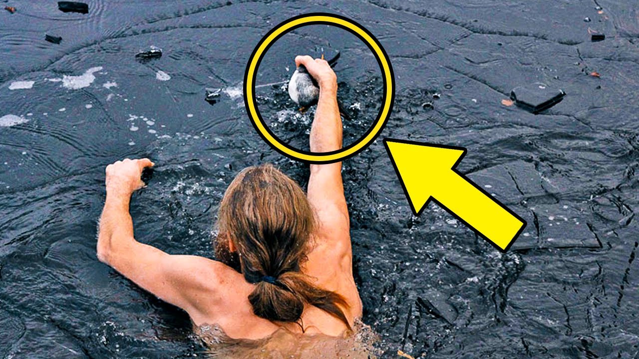 Norwegian Man Plunges Into A Frozen Lake To Rescue A Drowning Duck