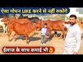 अति सस्ते में 5 देसी नस्लों का सुंदर फार्म|Kankrej Sahiwal GIR Tharparkar Dairy farm in india