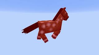 Minecraft Horse Spinning