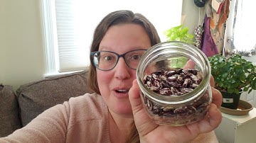 My seed saving experiment. Part 1