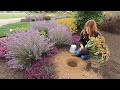 Homemade Peach Ice Cream + Planting Three Gorgeous Perennials with Food Names! 😁🍑🍫