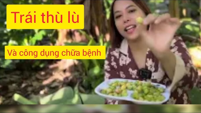 9. Kết Luận: Tầm Quan Trọng Của Trái Nho Trong Cuộc Sống Hàng Ngày