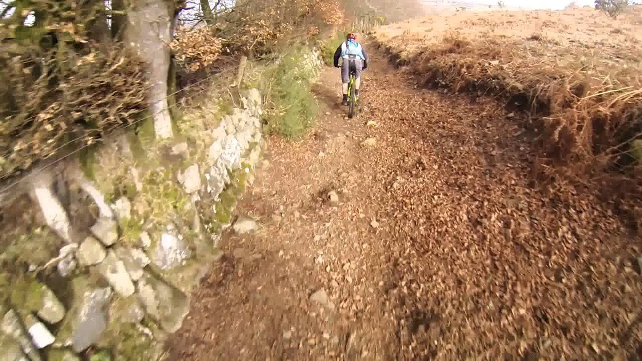 Dartmoor Mountain Biking Taw Marsh then over to Fatherford Woods