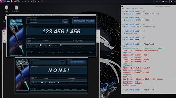 INSTALLING LOIC KALI 2024