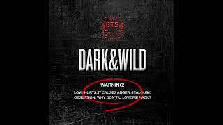 BTS - Danger (Instrumental)