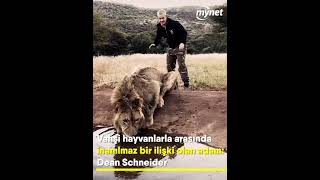 Vahşi Hayvanlarla Arasında Inanılmaz Bir Ilişki Olan Adam Dean Schneider