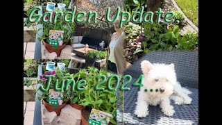 Garden Tour June 2024