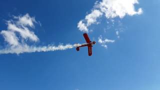 D-Eele Casa 1-131E Jungmann