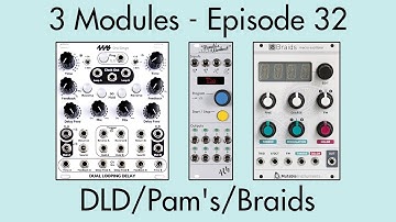 3 Modules #32: Dual Looping Delay, Pamela