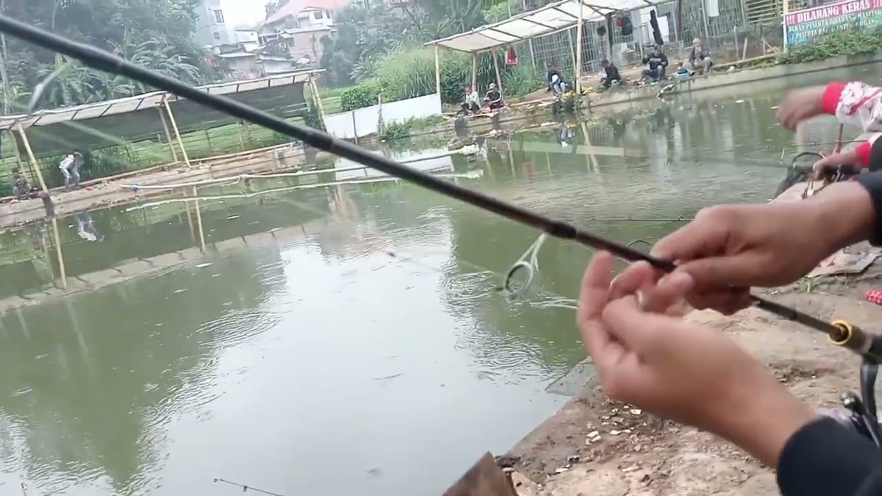 Langsung tesss joran Daido Alexa di perpadukan reel Daido Arctic memang mantullll..