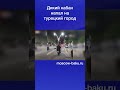 Дикий кабан напал на турецкий город