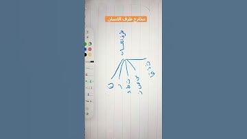 مخارج الحروف طرف اللسان ##تجويد #مخارج_الحروف #قران_كريم