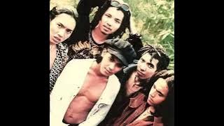 Plastik - Haus