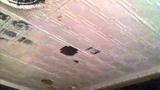 VID-20110329-00003