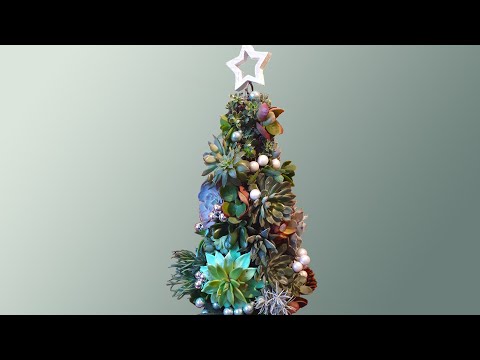 Video: Kako Instalirati živo Božićno Drvce