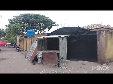 Parcelle à vendre à Kinkole, Nsele