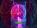 DMT, Psilocybin and Communication With Other Realms #shorts