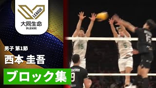 西本 圭吾 | 選手名鑑 | 大同生命SVリーグ男子 2025-26 | バレーボール