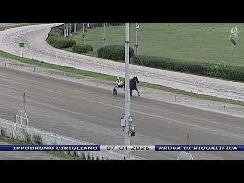 Video Aversa trotto 7 Gennaio 2026 - Prova di riqualifica