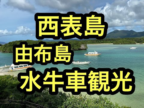 沖縄石垣島離島巡旅 由布島水牛車⑬ハイサイ!ベストシーズンの石垣島、西表島の離島巡り旅。ハイサイ探検気分でうちな~感覚で次は由布島へ。 #石垣島 #西表島 #沖縄 #由布島