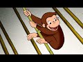 ジョージ、ショーを運営する! | 全編 🐵 おさるのジョージ