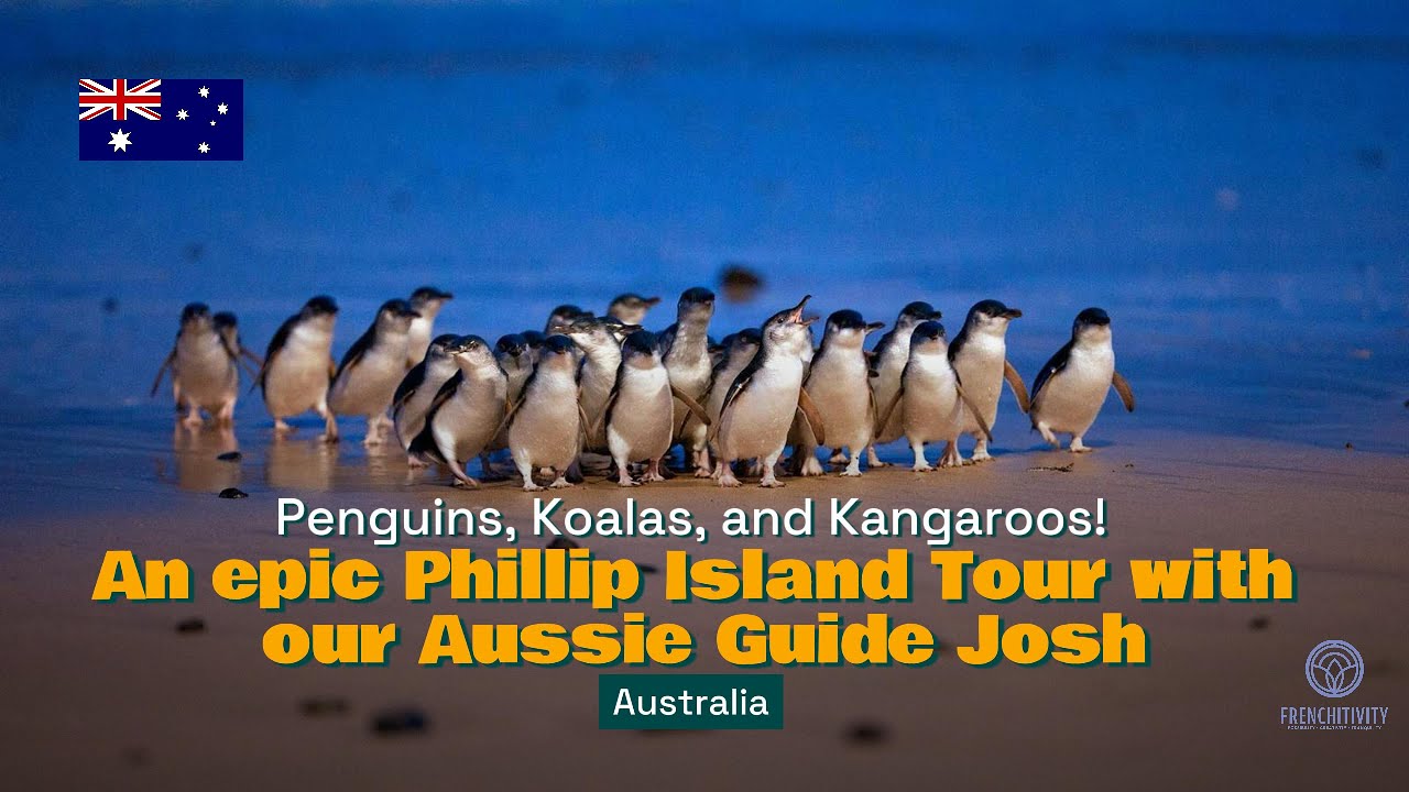Penguins, Koalas & Kangaroos! An Epic Phillip Island Tour with Our Aussie Guide Josh