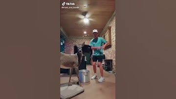 Posting random videos from my camera roll part 51