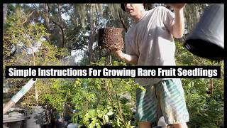 Simple Instructions For Growing Rare Fruit Seedlings