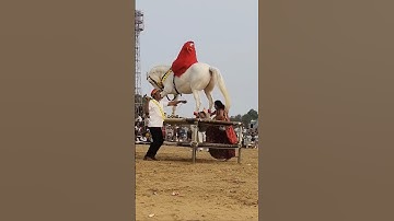 chunni mai chunni mai😭💔🙏 #trending #shorts