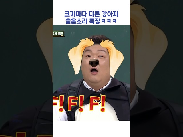 크기마다 다른 강아지 울음소리 특징ㅋㅋㅋ #shorts #아는형님