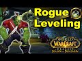 Rogue leveling tips  tricks in season of discovery  deadly brew rune poisons talents weapons