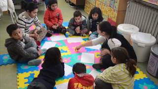 Developing cognitive functions - input phase II