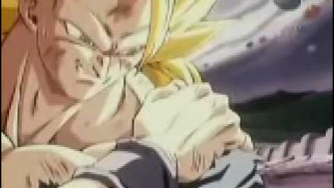 dragon ball z- goku,vegeta,veyito(bon jovi - its my life)