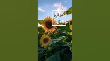 #حالات_واتس #اذكار_الصباح #الحمدلله_عدد_خلقه_ورضى_نفسه_وزنة_عرشه_ومداد_كلماته