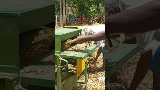 Ground Nut Pod Remover රටකජ කරල ගලවන මශම පයට කල 50 ක