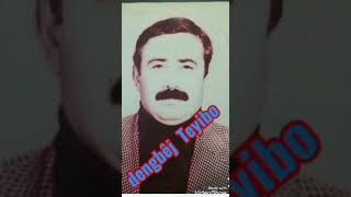 Dengbêj Teyibo - Heseno Pismamo Delal Hay Delel