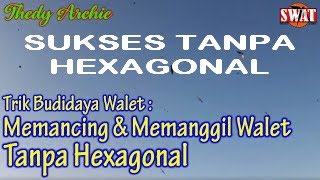 Walet Lebih Fokus Menerobos LMB Tanpa Hexagonal