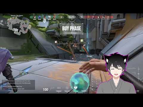 Racist kid in Valorant VTUBER Clip