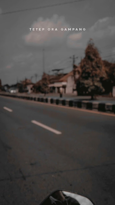 SANES GuyonWaton story wa slowed