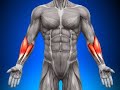 Cant take PRE workout, try this stack Guaranteed PUMPS